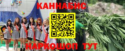 МДПВ Татарск