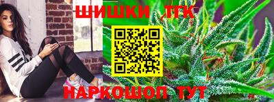 МДПВ Татарск