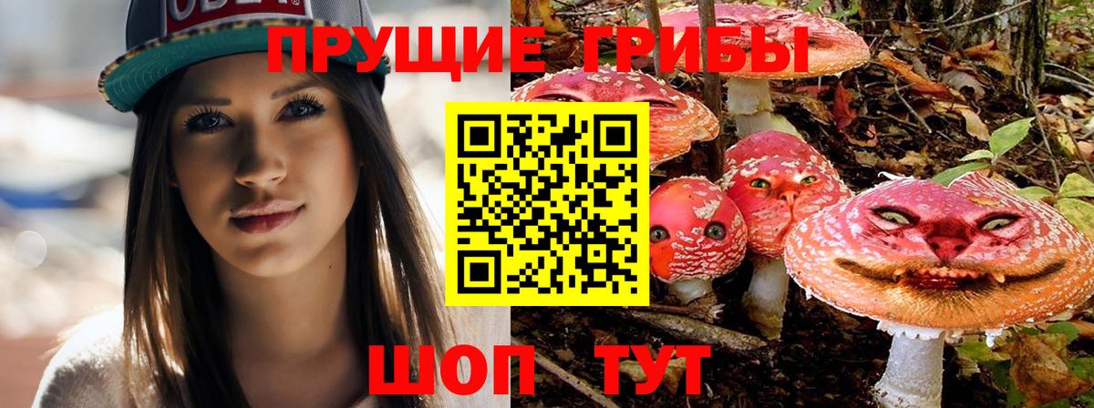 Омск  Псилоцибиновые грибы MAGIC MUSHROOMS  Вход с VPN  Псилоцибиновые грибы MAGIC MUSHROOMS 